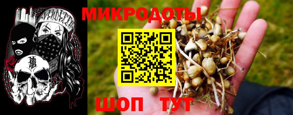 Галлюциногенные грибы прущие грибы  Вход с VPN  Лениногорск 